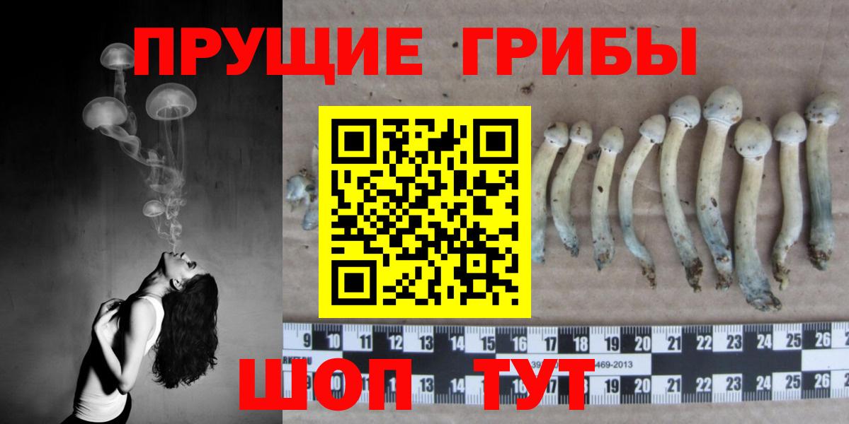 Галлюциногенные грибы ЛСД  Вход с VPN  Городец 